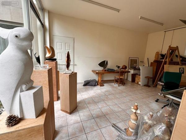 Autres types de maison à vendre à Saint-Julien-du-Sault dans l'Yonne (89330), ref : 89062-109