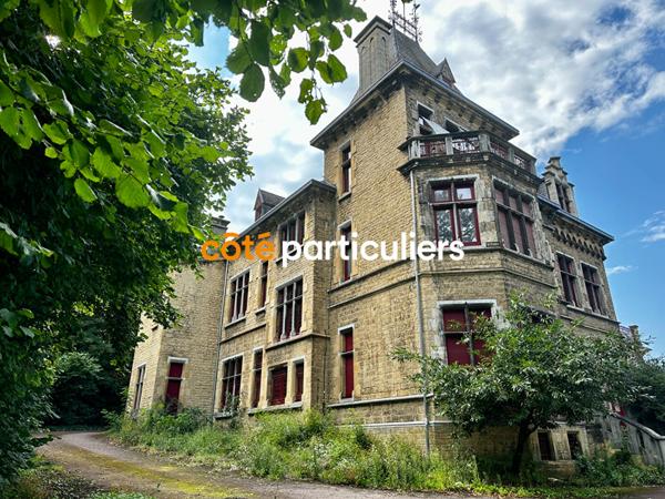 Vente Demeure de Prestige635 m² - 30 Pièces - HOMECOURT (54310)