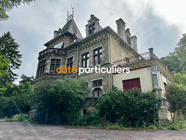 Vente Demeure de Prestige635 m² - 30 Pièces - HOMECOURT (54310)