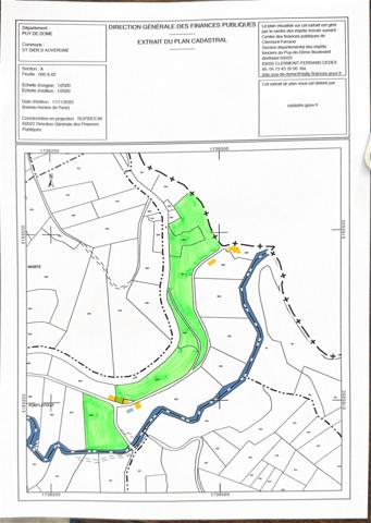 Saint-Dier-d'Auvergne (63520) Petite maison avec dépendances - Parcelles boisées et Pré