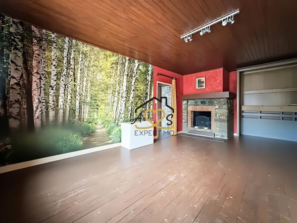 Saint-Dier-d'Auvergne (63520) Petite maison avec dépendances - Parcelles boisées et Pré