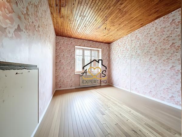 Saint-Dier-d'Auvergne (63520) Petite maison avec dépendances - Parcelles boisées et Pré