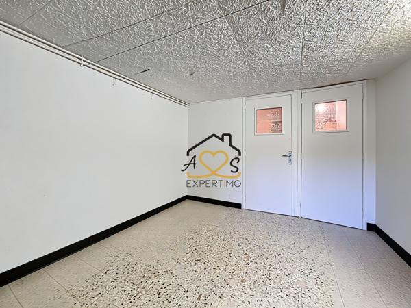 Saint-Dier-d'Auvergne (63520) Petite maison avec dépendances - Parcelles boisées et Pré