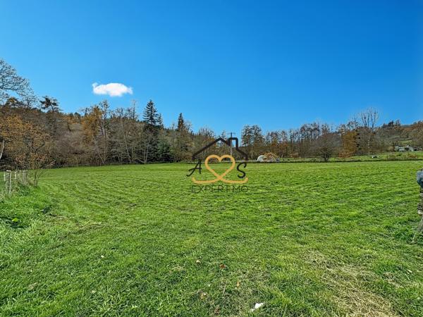 Saint-Dier-d'Auvergne (63520) Petite maison avec dépendances - Parcelles boisées et Pré