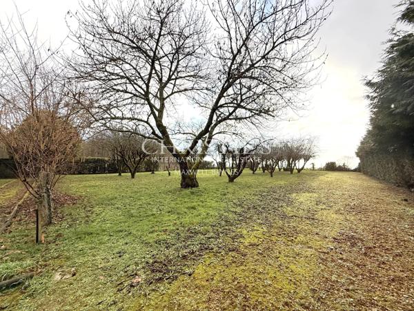 Élégance Intemporelle au Bord de la Charente