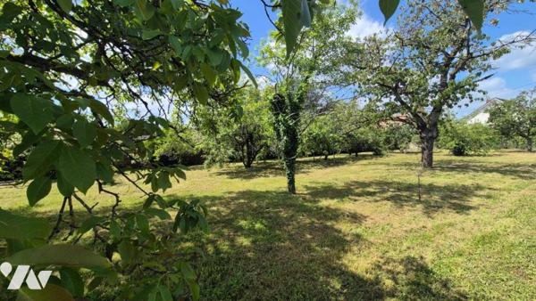 MONTIGNY-SUR-LOING