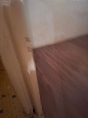 Maison rurale à vendre à Saint-Martin-d'Auxigny dans le Cher (18110), ref : 18016/1974