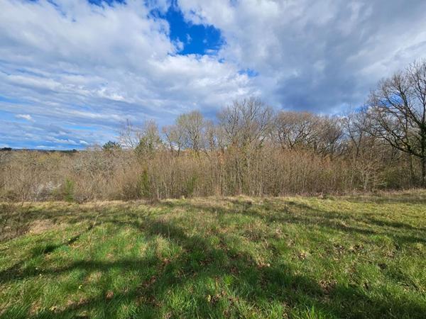 5 min de Brive - TERRAIN CONSTRUCTIBLE avec TOUT-A-L'EGOUT-  1980m² + 8500m² de BOIS - 47 590 euros