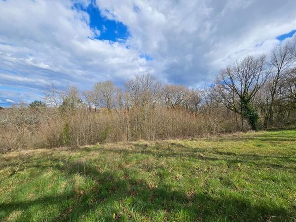 5 min de Brive - TERRAIN CONSTRUCTIBLE avec TOUT-A-L'EGOUT-  1980m² + 8500m² de BOIS - 47 590 euros