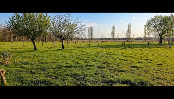 Maison à vendre 8 pièces CAZERES SUR L'ADOUR (40)