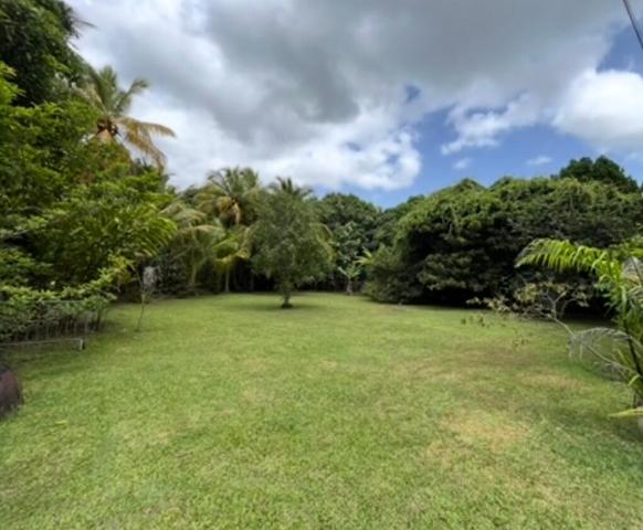 Rare opportunité : beau et vaste terrain de 1800 m2 à Plaisance ! À ne pas rater !!
