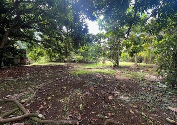 Rare opportunité : beau et vaste terrain de 1800 m2 à Plaisance ! À ne pas rater !!