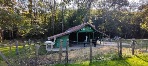 Maison 7 pièces 246 m2 sur un terrain de 41 222m²