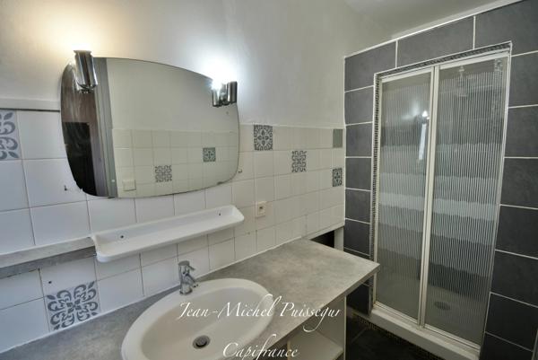 Immeuble à Vendre SAINT GAUDENS (31), 3 Appartements avec 3 Garages et Jardin