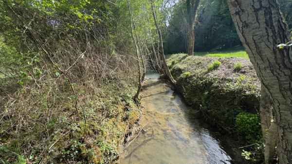 Ici, vous écrirez une nouvelle page de votre vie, entre nature et sérénité.