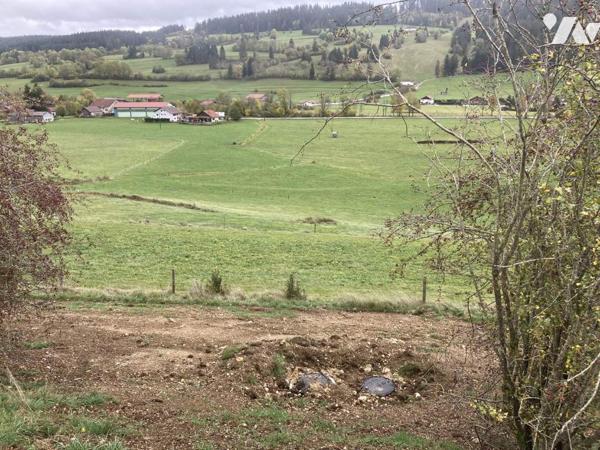 Opération immobilière à Grand Combe chateleu