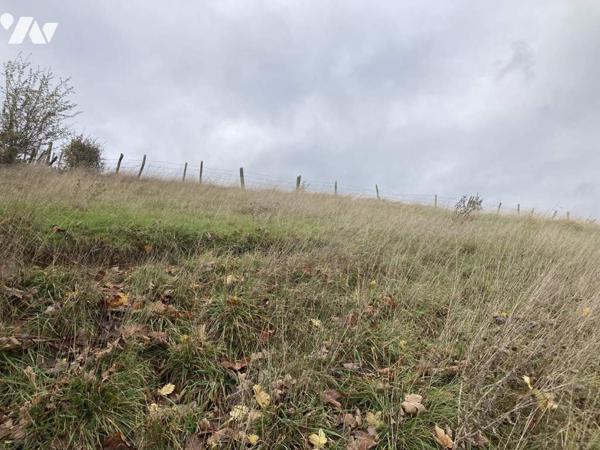 Opération immobilière à Grand Combe chateleu