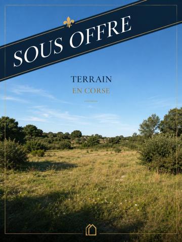 terrain cervione