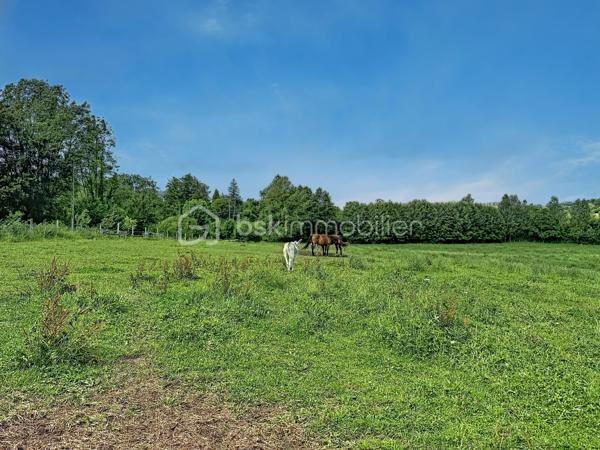 Emmanuel Cauchois BSK immobilier vous présente cette authentique propriété Normande avec ces 5 hectares de pâturages verdoyant, plat, ou coule une rivière, entre campagne et village vous serez trouver une qualité de vie dans cette charmante maison à restaurer, " devis établie pour la restauration ".

D'une superficie d'environ 97m2, avec une dépendance accolée à la maison et sur ces 5 hectares autour de la maison, elle se compose: 
      - Une entrée sur salle 
      - Un salon ouvert avec vue sur les champs 
      - Une cuisine 
      - Un WC 
      - Une buanderie " autrefois une salle de bain "

A l'étage: 
      - 2 chambres 
      - 1 Salle de bain 
      - un bureau 

Les plus de la maison: 
    
     - Diagnostic énergétique D/ B 
     - 5 hectares de terrain plat autour de la maison 
     - Poêle à bois 
     - Non loin du village de Vimoutiers 
     - Comble aménageable permettant de créer un espace supplémentaire
