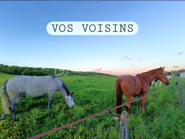 Les chevaux comme voisins ! Vue imprenable sur les champs et la forêt ! Métro ligne 16 à 15 min.

Quartier pavillonnaire, entre les chevaux et les écoles maternelle et primaire, ce pavillon de type Mansart édifié sur sous-sol en 1980 de 151m² habitable, 216m² utile, permet de vivre de PLAIN PIED et de profiter du terrain de 424m². Finitions incroyable !

LES ATOUTS DU BIEN
• Non mitoyen
• On vit de plain pied
• Sous-sol TOTAL
• Double bateaux, deux portails
• Prairie inconstructible
• DPE C
• Aucun travaux à prévoir
• Vue sur les chevaux toute l'année

AGENCEMENT
Rez-de-chaussée
• Entrée
• Séjour triple (44m²)
• Terrasse avec pergola (25m²)
• Cuisine aménagée et équipée (9m²)
• Chambre (11m²)
• Salle d'eau (2m²)
• WC avec lave-main

Etage
• Palier
• Chambre (9,5m²)
• Chambre (11m²)
• Suite parentale : chambre (10,5m²), dressing (11m²), salle d’eau (5m²)
• Salle d’eau (2,6m²)
• WC

Sous-sol (HSP 2,10m)
• Garage double (43m²)
• Salon (14m²)
• Buanderie
• Chaufferie
• Cave

Jardin sans vis-à-vis, de la place pour 4 véhicules

INFORMATIONS TECHNIQUES
• Façade parcelle 24m
• Double vitrage PVC, volets roulant électrique (2020)
• Tableau électrique récent
• Isolation intérieure et extérieure (2023)
• Chauffage au gaz, chaudière récente
• Chambre et salle d'eau au rez-de-chaussée (idéal pour une vie sans escaliers)
• PRESTATIONS EXCEPTIONNELLES

INFORMATIONS FINANCIERES
• Taxe foncière 2200 €
• Estimation coût annuel énergie entre 1400 et 1940 €

Ludovic MOREL
Votre Partenaire Immobilier
Depuis 2010

•••