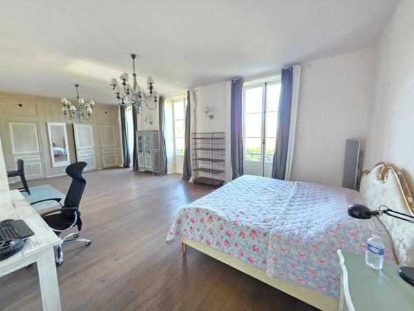 GROS POTENTIEL POUR CETTE TRES BELLE PROPRIETE DE 19HA AVEC CHATEAU ET BATIMENT DE + DE 1200 M²