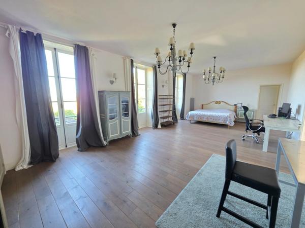 GROS POTENTIEL POUR CETTE TRES BELLE PROPRIETE DE 19HA AVEC CHATEAU ET BATIMENT DE + DE 1200 M²