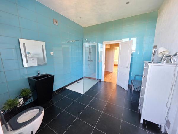 GROS POTENTIEL POUR CETTE TRES BELLE PROPRIETE DE 19HA AVEC CHATEAU ET BATIMENT DE + DE 1200 M²