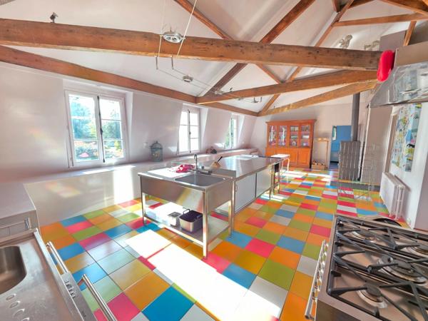 GROS POTENTIEL POUR CETTE TRES BELLE PROPRIETE DE 19HA AVEC CHATEAU ET BATIMENT DE + DE 1200 M²