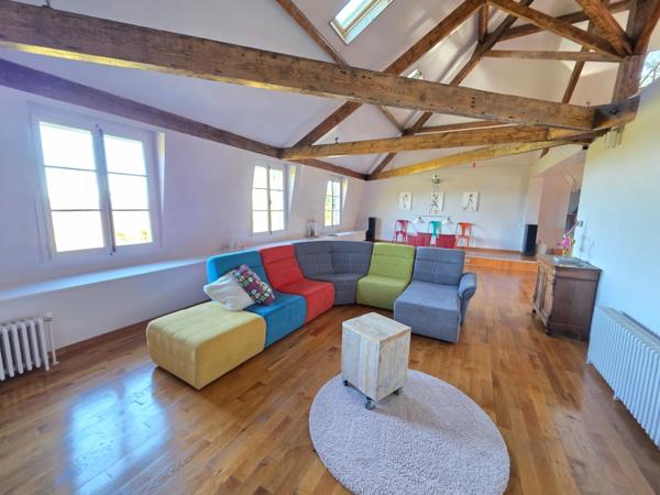 GROS POTENTIEL POUR CETTE TRES BELLE PROPRIETE DE 19HA AVEC CHATEAU ET BATIMENT DE + DE 1200 M²