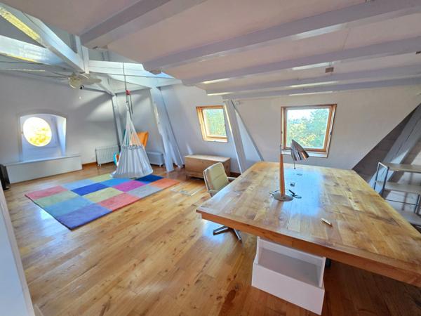 GROS POTENTIEL POUR CETTE TRES BELLE PROPRIETE DE 19HA AVEC CHATEAU ET BATIMENT DE + DE 1200 M²