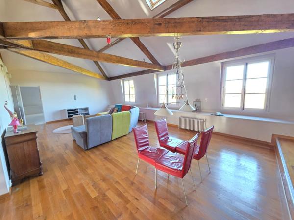 GROS POTENTIEL POUR CETTE TRES BELLE PROPRIETE DE 19HA AVEC CHATEAU ET BATIMENT DE + DE 1200 M²