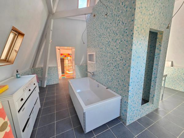 GROS POTENTIEL POUR CETTE TRES BELLE PROPRIETE DE 19HA AVEC CHATEAU ET BATIMENT DE + DE 1200 M²