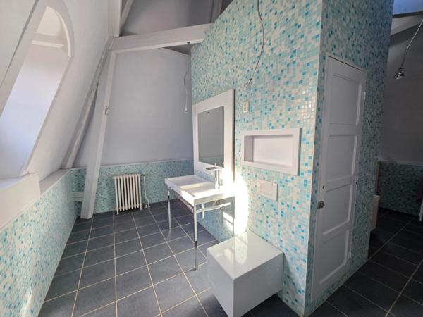 GROS POTENTIEL POUR CETTE TRES BELLE PROPRIETE DE 19HA AVEC CHATEAU ET BATIMENT DE + DE 1200 M²