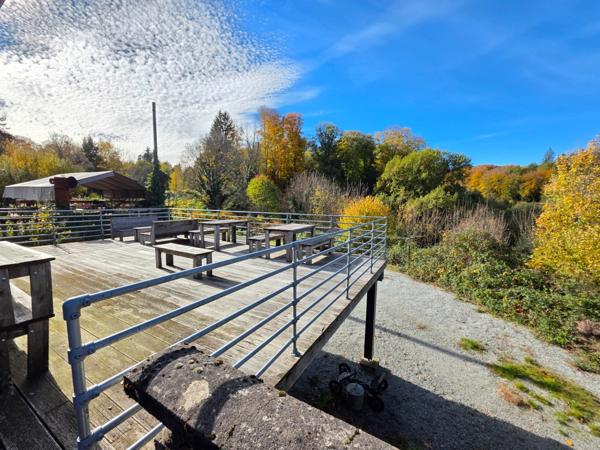 GROS POTENTIEL POUR CETTE TRES BELLE PROPRIETE DE 19HA AVEC CHATEAU ET BATIMENT DE + DE 1200 M²