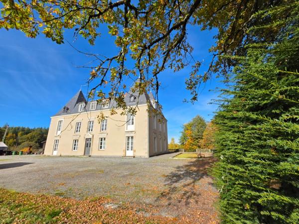 GROS POTENTIEL POUR CETTE TRES BELLE PROPRIETE DE 19HA AVEC CHATEAU ET BATIMENT DE + DE 1200 M²