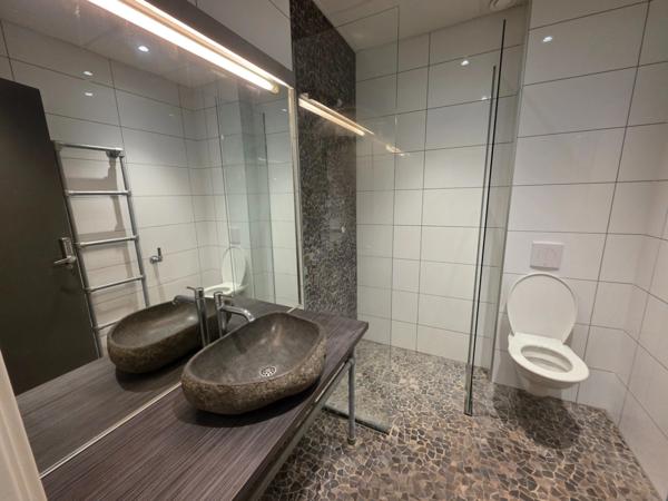 GROS POTENTIEL POUR CETTE TRES BELLE PROPRIETE DE 19HA AVEC CHATEAU ET BATIMENT DE + DE 1200 M²