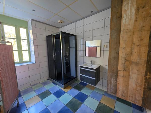 GROS POTENTIEL POUR CETTE TRES BELLE PROPRIETE DE 19HA AVEC CHATEAU ET BATIMENT DE + DE 1200 M²