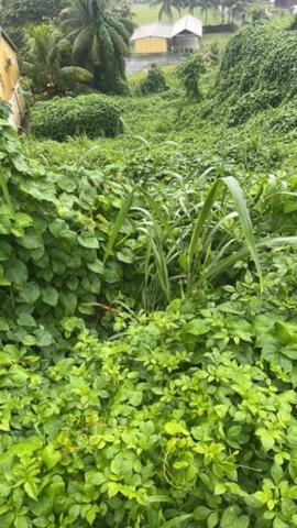 Terrain à vendre CAPESTERRE BELLE EAU (971)