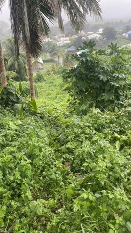 Terrain à vendre CAPESTERRE BELLE EAU (971)