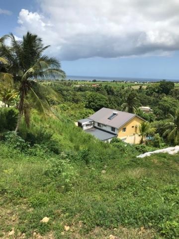 Terrain à vendre CAPESTERRE BELLE EAU (971)