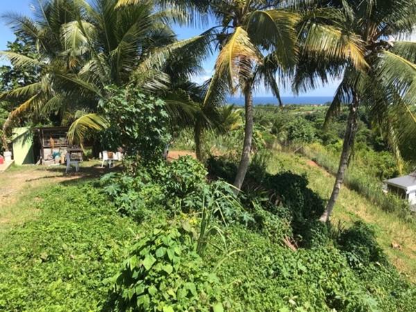 Terrain à vendre CAPESTERRE BELLE EAU (971)