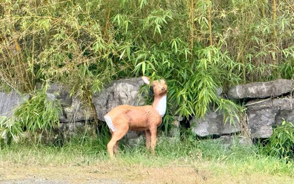 Maison à vendre    5 pièces •  Les Assions