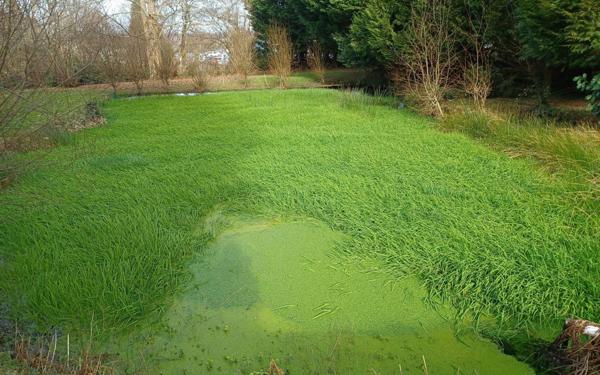Maison à vendre    5 pièces •  La Souterraine