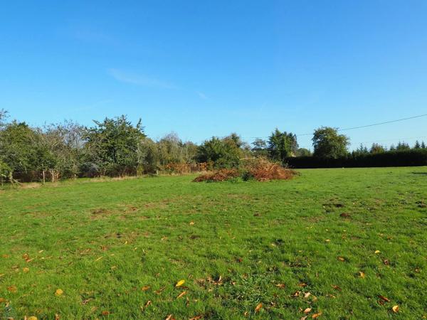 Rare : parcelle construcible dans bel environnement calme et verdoyant