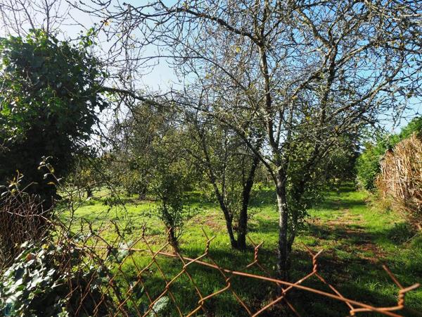 Rare : parcelle construcible dans bel environnement calme et verdoyant