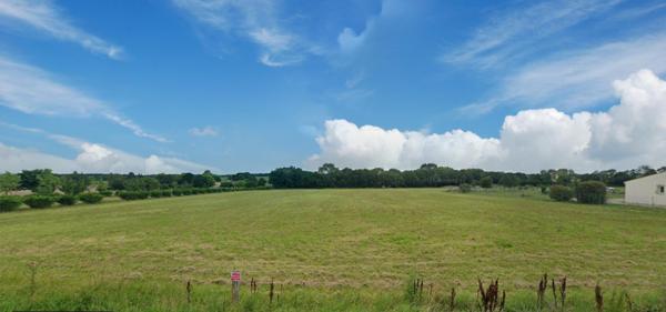 Terrain à bâtir non viabilisé à haut potentiel