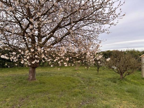 Maison maison de campagne Conlie conlie 100 m²