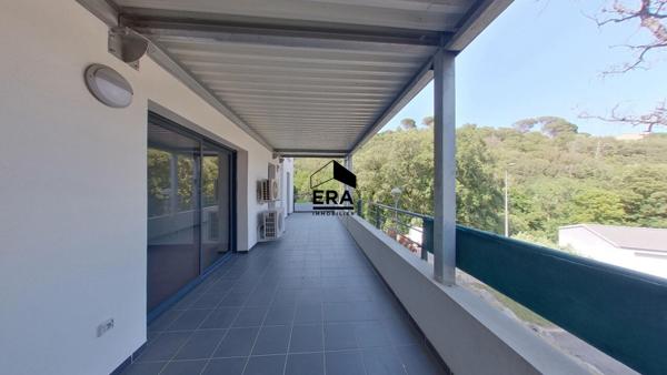 A louer - Appartement 3 pièces - Bastia Sud Macchione