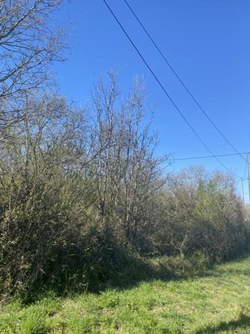 Saint-Gilles-Croix-de-Vie (85800) SAINT-GILLES-CROIX-DE-VIE - TERRAIN AGRICOLE DE PLUS DE 3 000 m2