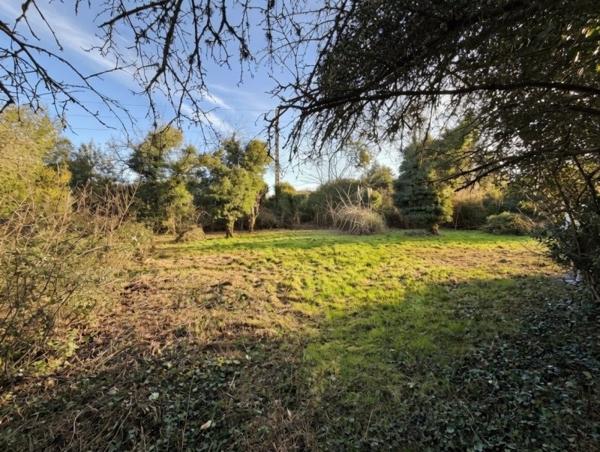 Vente / Terrain constructible